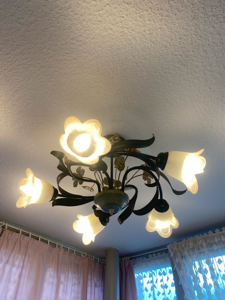 Decken Lampe wunderschön in Neumünster