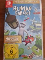 Nintendo Switch Spiel Human Fall flat Brandenburg - Cottbus Vorschau