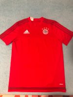 FC Bayern Shirt Gr. 176 Rheinland-Pfalz - Limburgerhof Vorschau