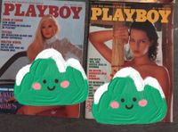 Playboy * preiswert unter 2 Euro * DSDS / Verena Stangl Nordrhein-Westfalen - Kirchlengern Vorschau