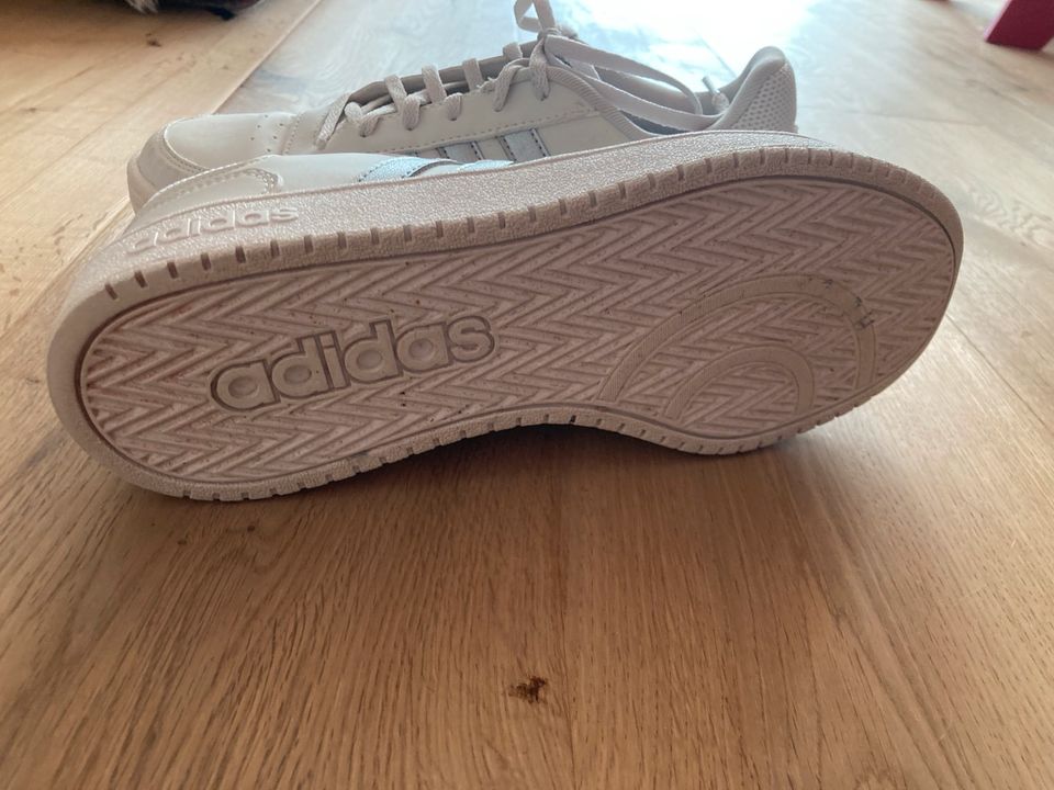 Adidas Sneaker in Flonheim