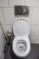 Tausch / Ersatz von ganzen Toiletten / WCs inklusive Spülkasten Schleswig-Holstein - Flensburg Vorschau