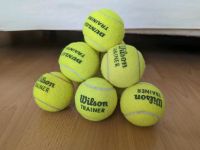 Tennis Trainerbälle drucklos 80 Stck, Wilson und Dunlop gemischt Niedersachsen - Schwanewede Vorschau