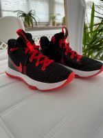 Basketball Schuhe von Nike Gr.40,5 Hessen - Eichenzell Vorschau