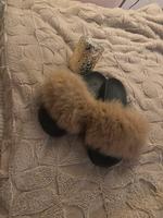 Echt Fell Schlappen Sandalen beige gr 39 Köln - Humboldt-Gremberg Vorschau