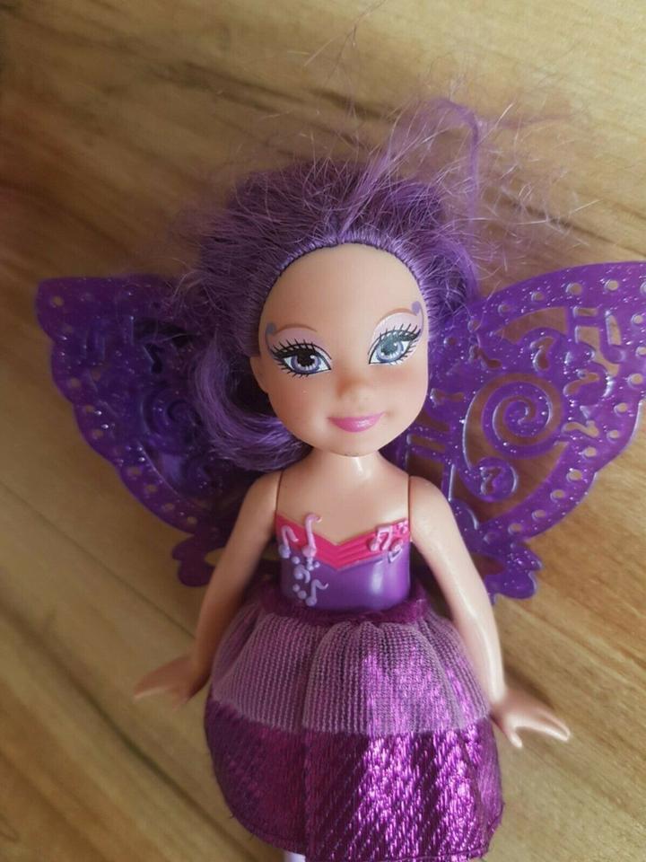 Mattel Barbie Puppe Prinzessin und der Popstar Chelsea Fee in Elsterwerda
