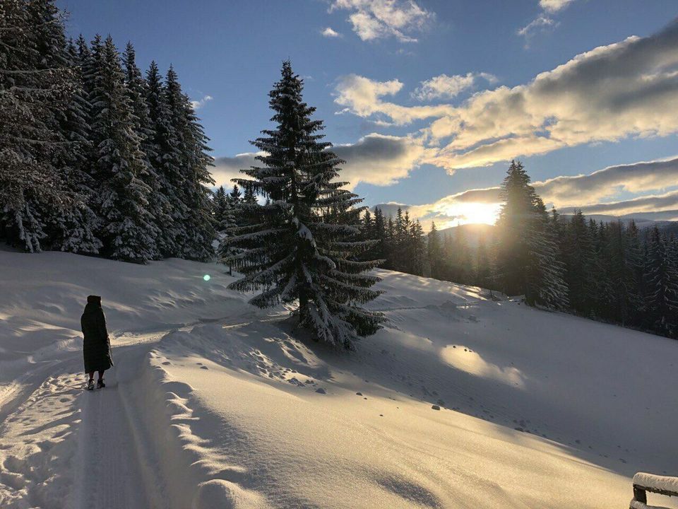 Berghütte/Ferienhaus Steiermark Österreich frei ab SA 1.6.24 in Berlin