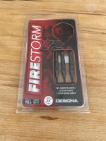 Designa Firestorm v2 - Steeldarts - 25g Niedersachsen - Lüneburg Vorschau