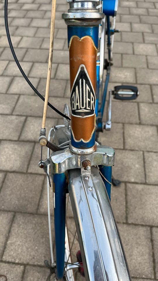 Damen Fahrrad in Essen