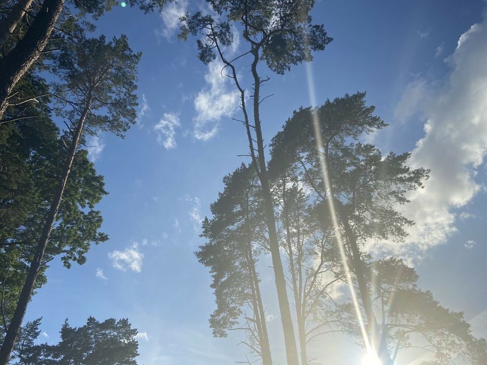 Ferienhaus Ferienbungalow Haus Insel Usedom Ostsee Sommer 2024 in Dessau-Roßlau