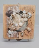Muschel Schildkröte auf kl. holzbild Rostock - Evershagen Vorschau