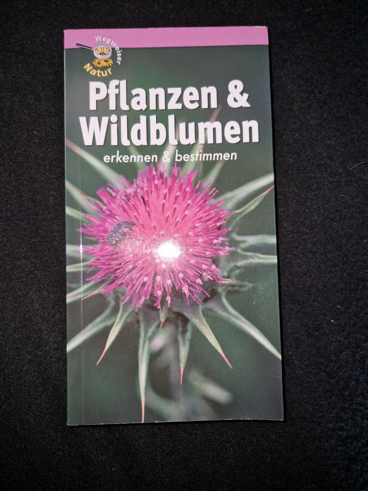 Kochbücher / Pflanzen Buch in Dortmund