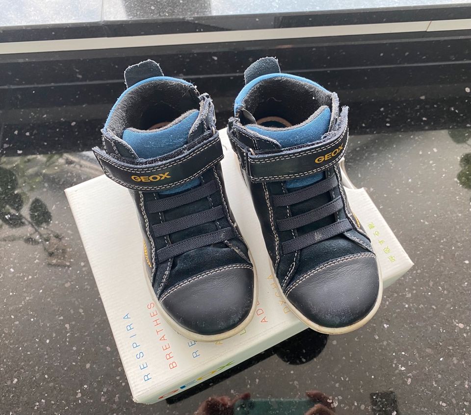 Geox Sneakers high Trottola blau Gr 27 in Tabarz Thüringer Wald