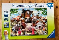 Ravensburger Puzzle Münster (Westfalen) - Centrum Vorschau