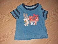 Looney Tunes Bugs Bunny Tshirt Gr. 50/56 blau Hase Nordrhein-Westfalen - Brakel Vorschau
