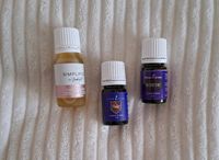 Young living Present Time, Valor,  Pink Champagne Nordrhein-Westfalen - Paderborn Vorschau