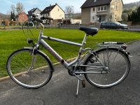 Herrenfahrrad Pegasus Arcona 28 Zoll Niedersachsen - Alfeld (Leine) Vorschau