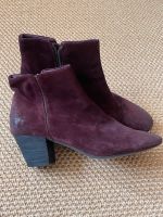 ASH Stiefelette Boots Leder wie neu bordeaux München - Allach-Untermenzing Vorschau