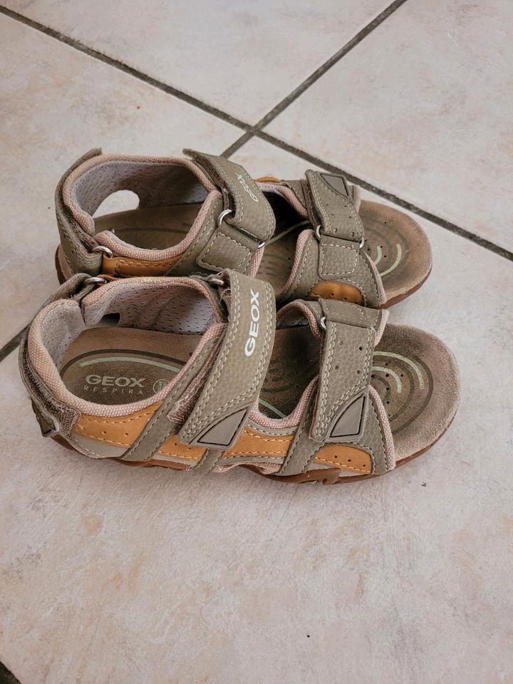 Geox Sandalen Größe 31, sehr guter Zustand in Ingolstadt