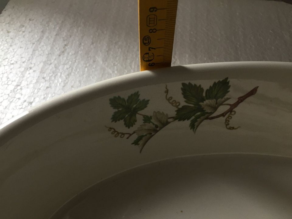 Villeroy & Boch Luxemburg Auflaufform 36 x 23 cm oval Botanica in Perl