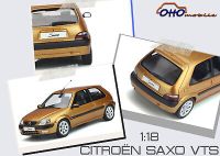 Otto Model citrön Saxo vts 1.6 OVP Sachsen-Anhalt - Osterburg Vorschau