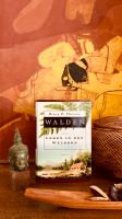 Henry D. Thoreau „Walden“ Anaconda Verl., gebundene Ausgabe Frankfurt am Main - Nordend Vorschau