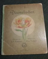 Buch Däumelischen H. C. Andersen & Bildern von Elsa Beskom 1909 Wiesbaden - Mainz-Kastel Vorschau