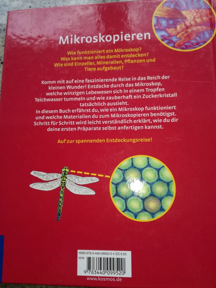 Mikroskopieren/Schüler-Labor/Spannende Experimente in Zirndorf