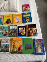 Kinderbücher/Lesebücher geeignet ab 8 Jahren Rheinland-Pfalz - Mainz Vorschau