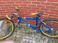 Fahrrad Landers 2060 blau 26 Zoll Bayern - Dorfen Vorschau
