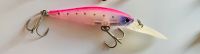 Lucky Craft Pointer 65 XD pink ghost shad Kreis Ostholstein - Bad Schwartau Vorschau