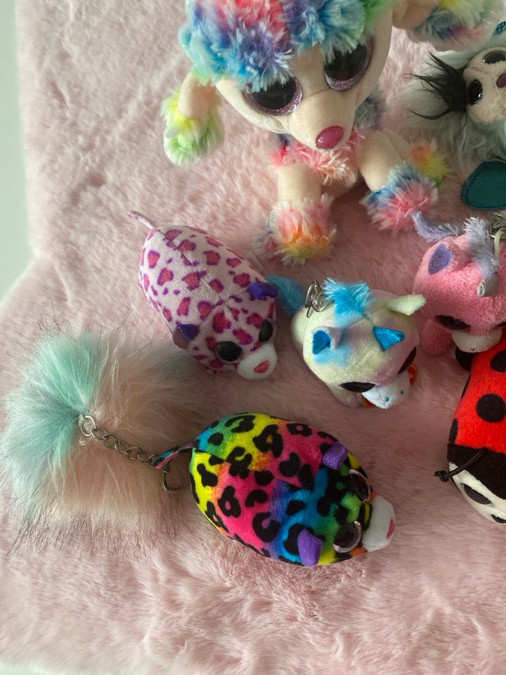 Glubschi Sammlung, Beanie Boos Sammlung ,Teeny tys, kuscheltiere in Neuss