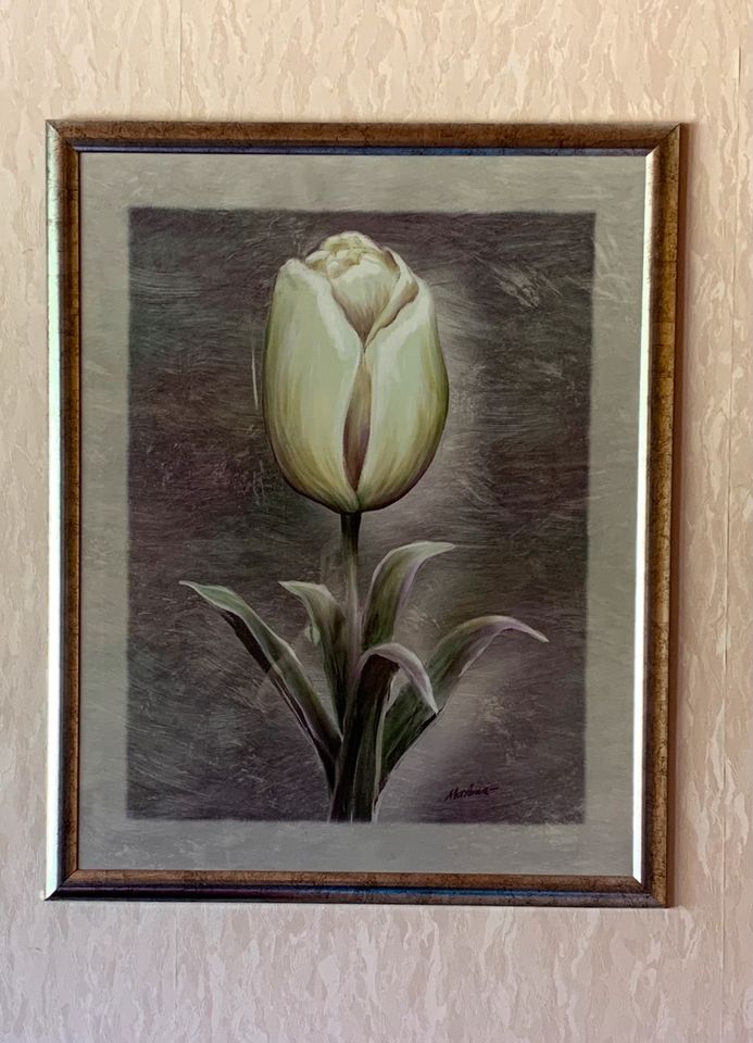 Bild Motiv „Tulpe“ in Wassenberg