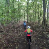 MTB Trainer gesucht Hessen - Hofheim am Taunus Vorschau