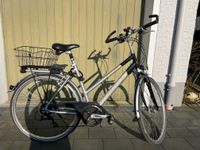 Hercules Sporting Fahrrad 28 Zoll Silber Nordrhein-Westfalen - Hiddenhausen Vorschau