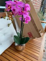 Kunstblume Orchidee Rosa  Original Verpackt Kunstblume im Topf De Niedersachsen - Stuhr Vorschau