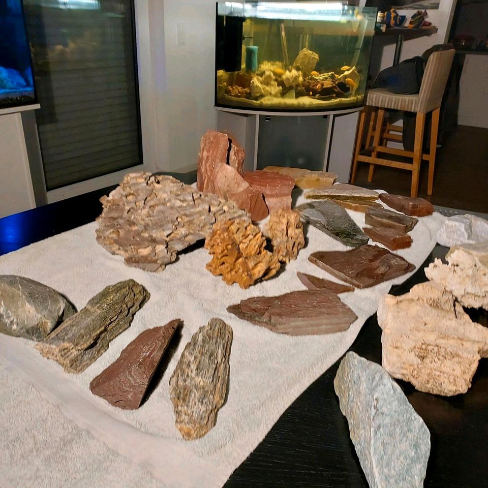 Aquarium Terrarium Steine und Wurzeln in Ochtrup