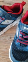 Geox Sneaker (Blinkersneaker) Dresden - Langebrueck Vorschau