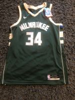 Antetokounmpo Trikot Größe XL Neu mit Etikett- NBA Jersey Rheinland-Pfalz - Neidenbach Vorschau