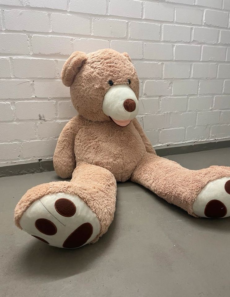 XXL Teddybär 150cm in Köln