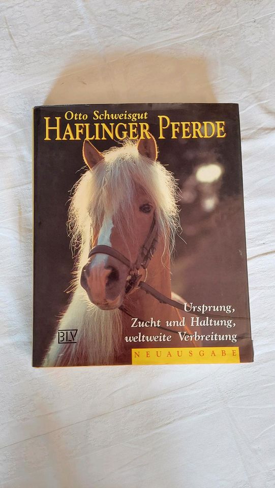 Buch "Haflinger Pferde" (Neuausgabe) in Kulmbach