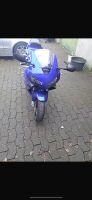 Honda CBR600RR Nordrhein-Westfalen - Versmold Vorschau