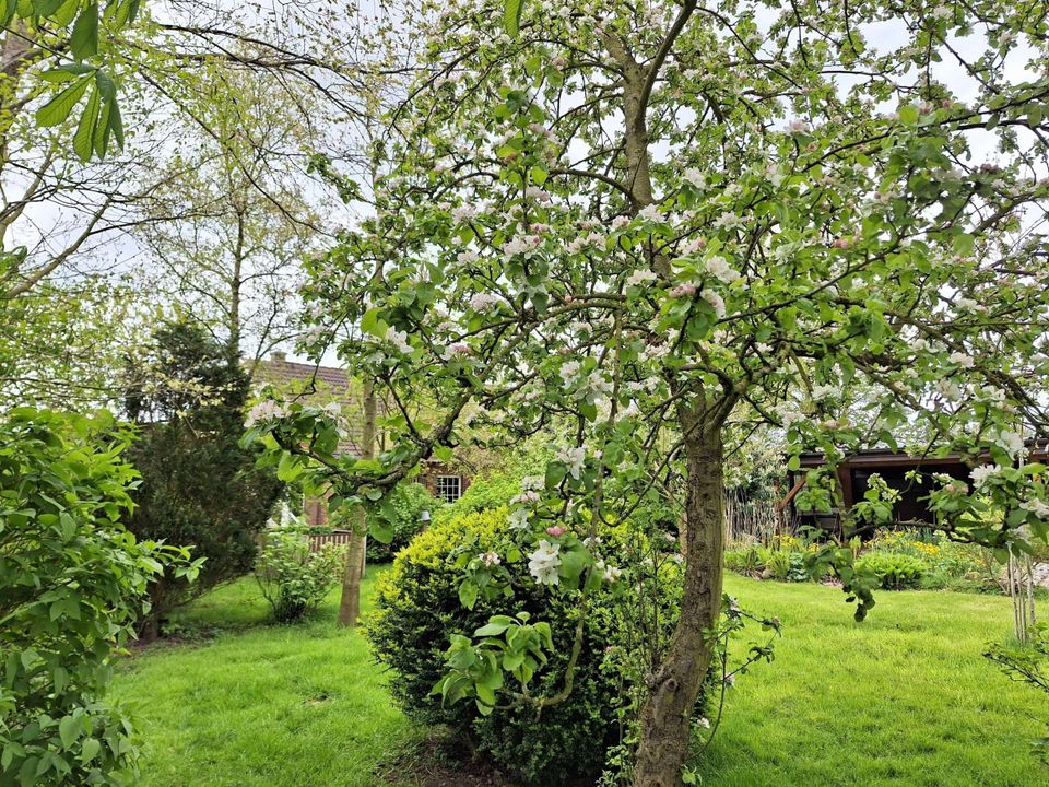 Verwirklichen Sie Ihren Traum zum Wohnen auf dem Land ohne direkte Nachbarn und in Küstennähe! in Wangerland