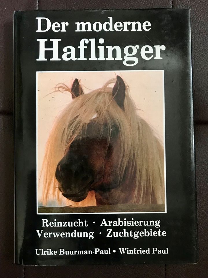 Der moderne Haflinger Pferdebuch Pferd Buch Pony Zucht in Heidenau