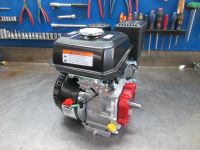 Gutrod Puma 800 ACME ALN290/330 Motor Umbausatz Einachser Fräse Nordrhein-Westfalen - Eschweiler Vorschau