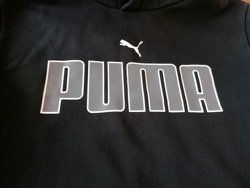 Puma 164 Hoodie Sweatshirt in Gütersloh
