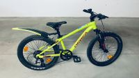 Orbea MX 20 Advanced Fun mit Federung Bayern - Steinhöring Vorschau