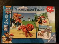 Paw Patrol Puzzle 3 mal 49 Baden-Württemberg - Bollschweil Vorschau