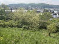 Verlockendes Angebot: Traumgrundstück mit Panoramablick auf den Rhein Rheinland-Pfalz - Erpel Vorschau