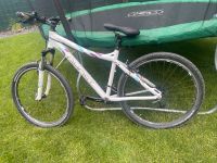 Ghost Miss 1200 Mountainbike Hessen - Maintal Vorschau